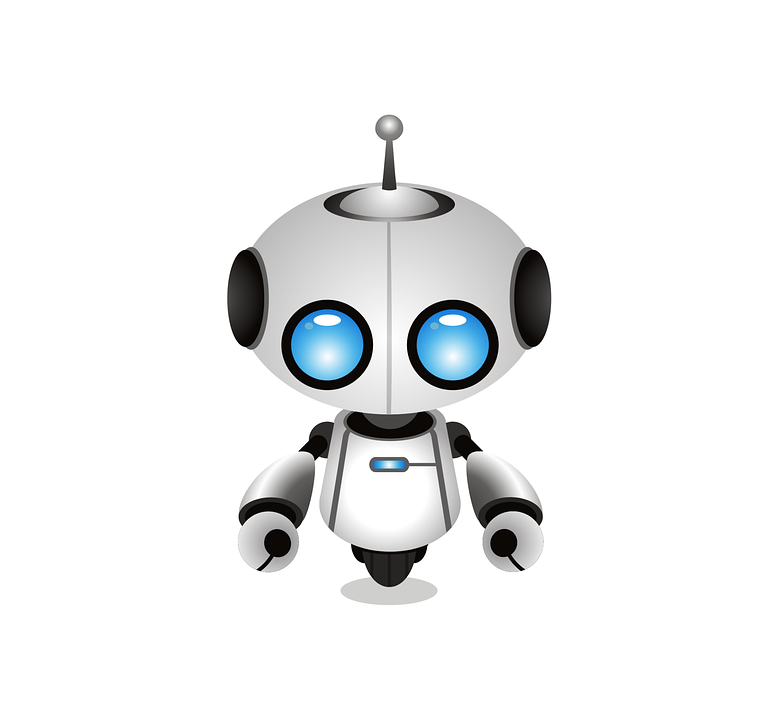 Robot R1