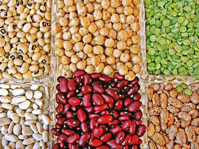 Proteine vegetali