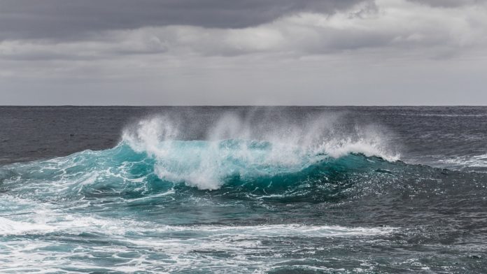 Raz Degan contro l'Isola