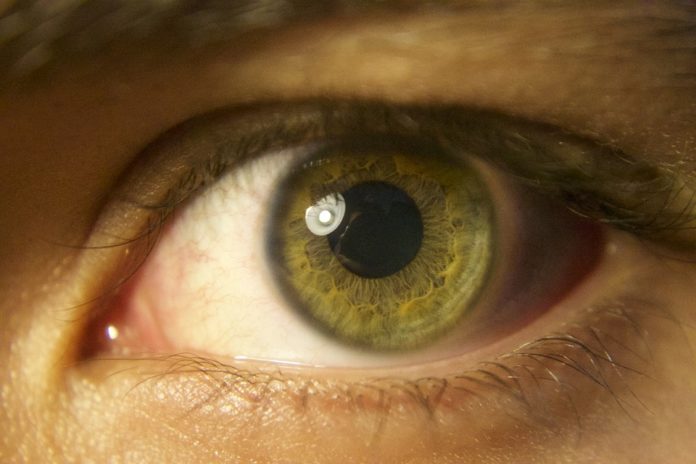 Pupilla grande e intelligenza