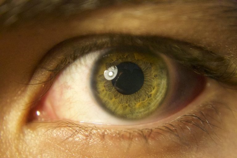 Pupilla grande e intelligenza: la scienza spiega perché