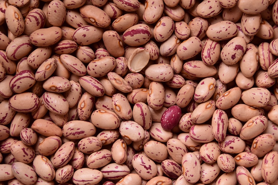 Fagioli nutrienti fondamentali