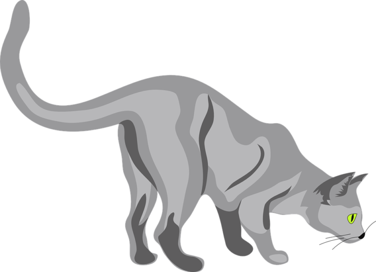 Linguaggio coda gatto: ecco alcuni dei significati associati