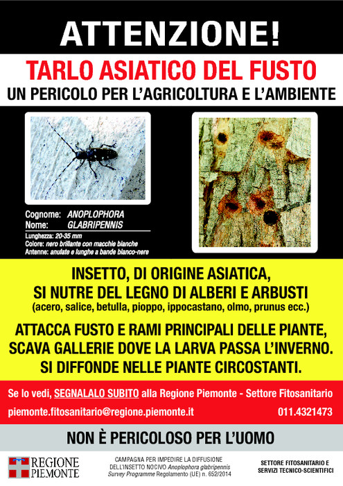 Aggiornamento sulle operazioni di eradicazione nel territorio comunale