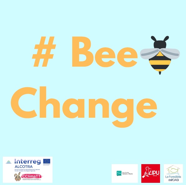 #BEE CHANGE. Api e robot per conoscere meglio i cambiamenti climatici