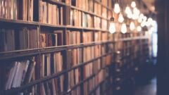 Fiera del Libro di Torino 2025: record di visitatori e i titoli piu’ attesi dell’anno