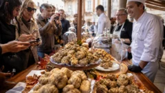 Tartufo Bianco d’Alba 2026: prezzi alle stelle, record storico alla Fiera Internazionale